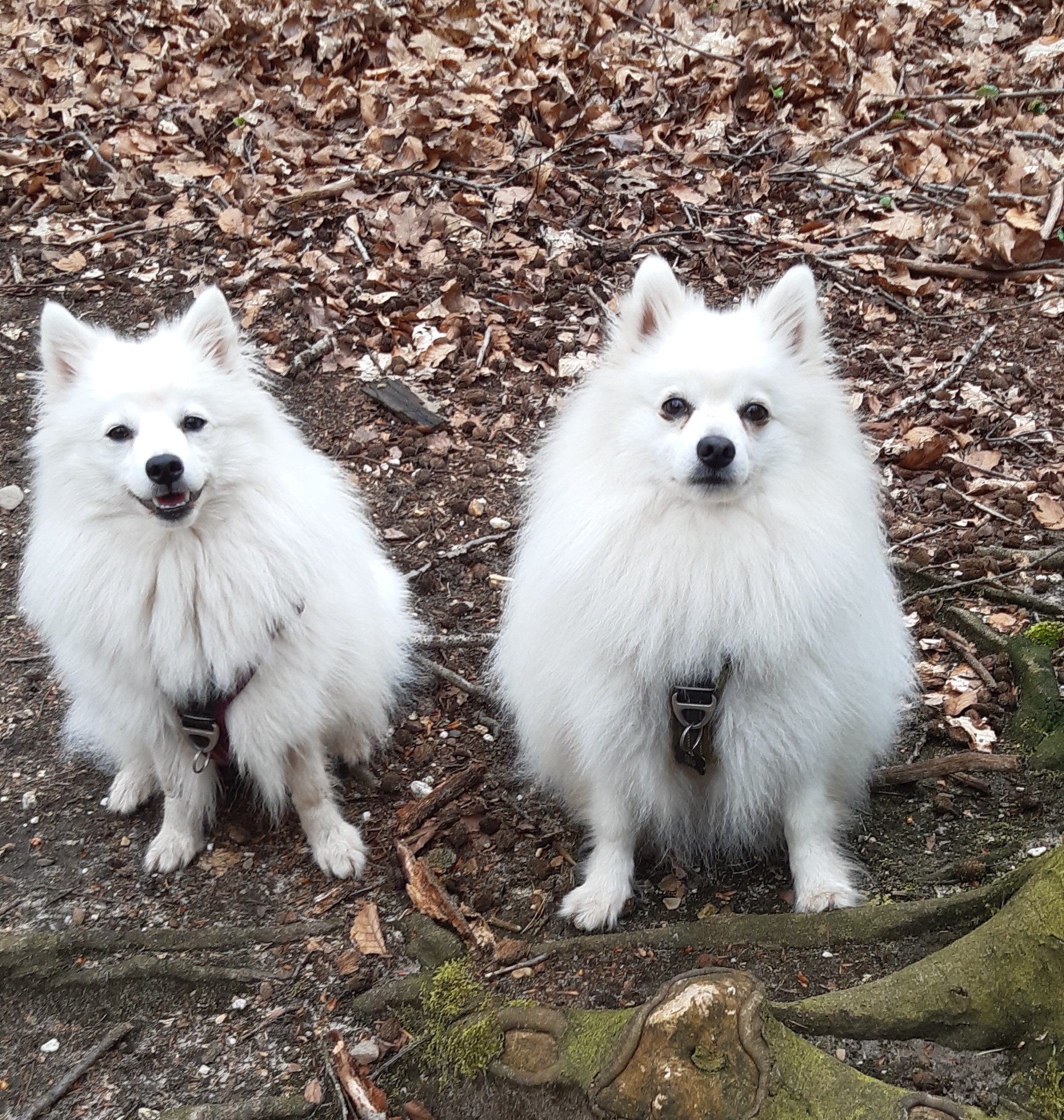 Skip&Noor