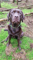 Odin